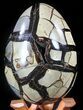 Septarian Dragon Egg Geode - Black Crystals #55714-3